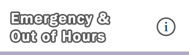emergency out of hours dentist